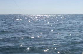 Masseria Sacramento - Foto 85