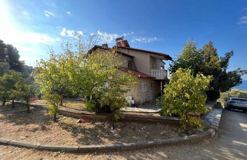 Olive stone Villa - Foto 35