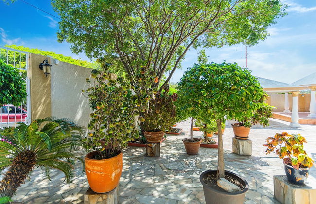 Large Villa With View! Private Pool Free Utilities! - Photo 59