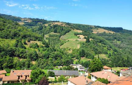 El Mirador De Limes - Foto 15