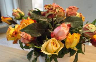 Ferienwohnung Charlotte - Foto 8