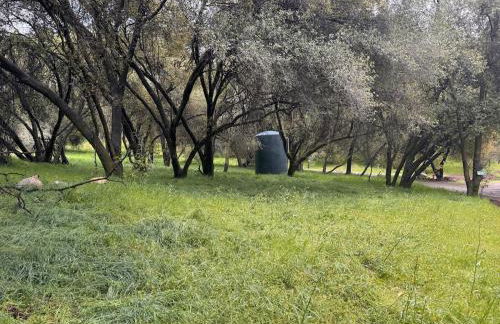 Bear Hollow by Sequoia National Park - Foto 15