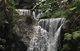 Hotel São Gotardo - Photo 48