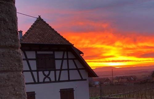 Beck Domaine du Rempart - Foto 16