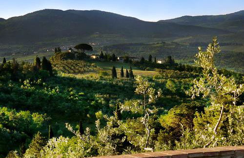 Castello di Cafaggio - Foto 67