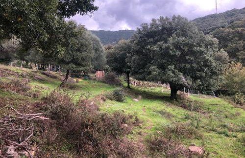 Maison typique Corse écologique - Photo 32