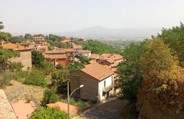 A pochi passi dal centro di Montefiascone - Foto 7