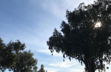 Smart Apartments Facinas - Foto 35