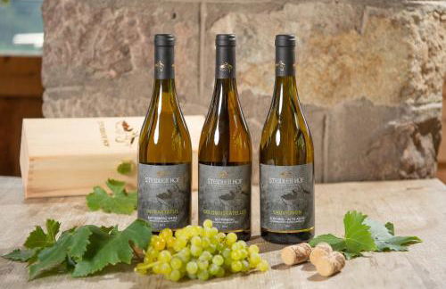 Steidlerhof - Foto 19