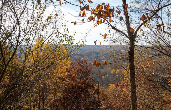 Valley Overlook - Foto 18