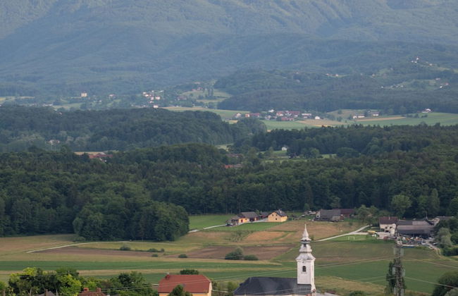 Vineyard cottage Jelenov hrib - Foto 26