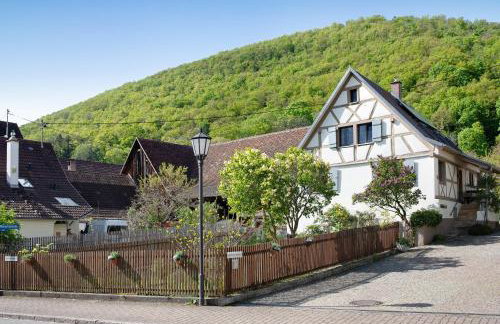 Ferienhaus Hildahüsli - Foto 7
