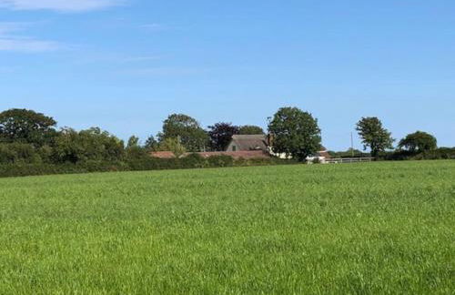 Tranquil Apartment at Ashton - Photo 14