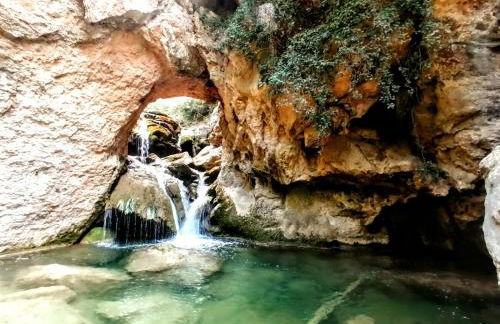 Alojamiento Rural Los Hacheros - Foto 44