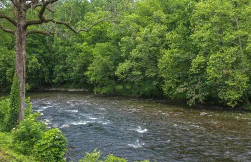 Dreamy Cabin & Outdoor Oasis! Mins to Nat'l Park! - Photo 47
