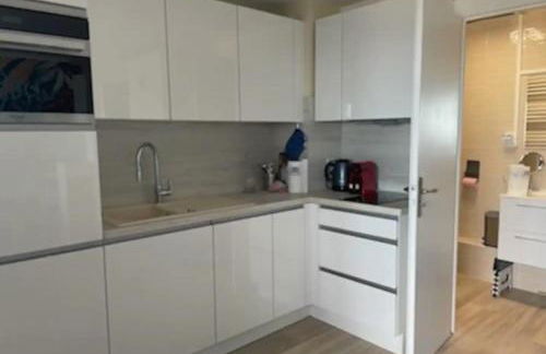 Appt T1 bis, terrasse face mer, rénové, climatisé - Foto 9