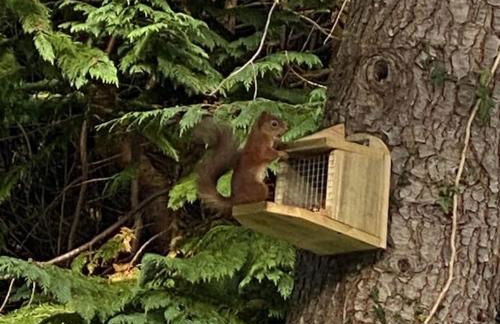 Foinaven House - Foto 28