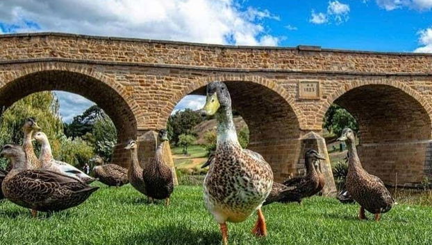 El puente de Richmond es todo un símbolo de Tasmania