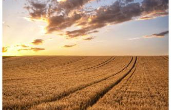 Secret Garden - Foto 74