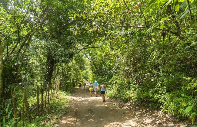 Sierra Minca + Marinka Waterfalls Tour - Photo 4