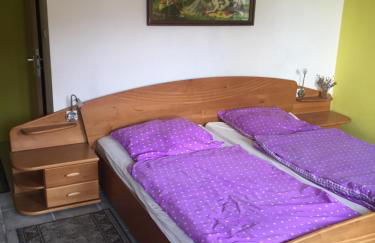 Biogut Evensen - Foto 17