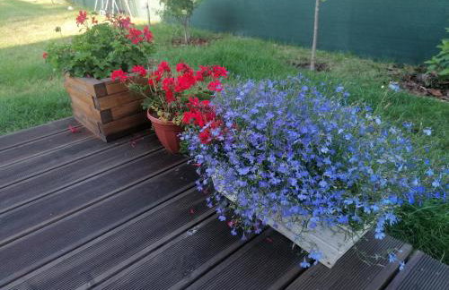 Osada Natura - Photo 71