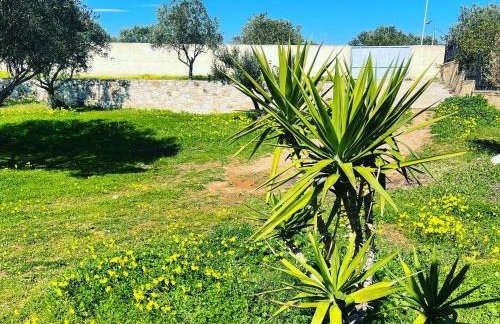 Villa Maxima Lavrio - Foto 14