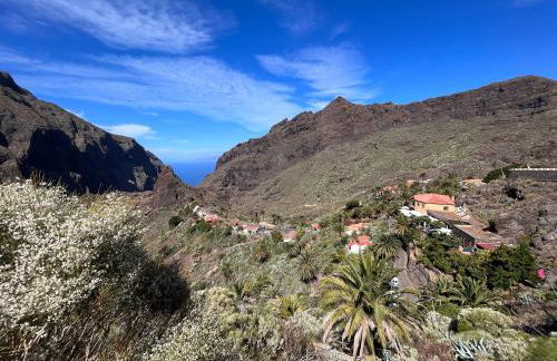 Apartamento Los Picachos, Poris de Abona - Foto 67