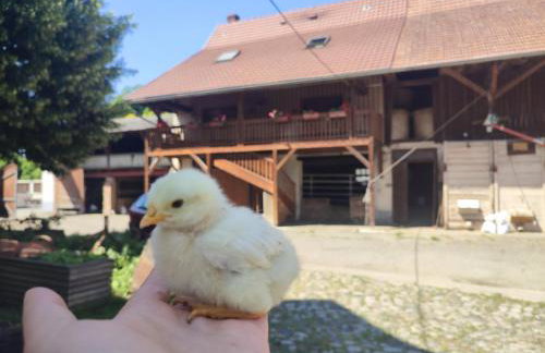 Insolit'appart à la ferme - Foto 26