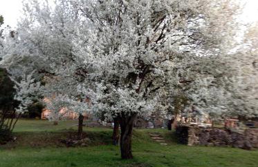 Marina's Stone Cottage - Foto 35