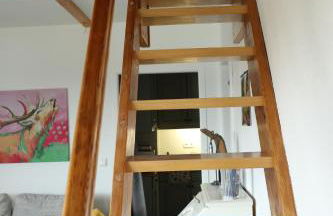 Ferienwohnung Tannenhöhe direkt am Wald - Foto 11