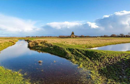 Rainbow Petty - Romney Marsh, Kent - Photo 18