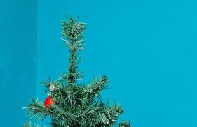 Apartamento Pé na Areia Enseada Guarujá - Foto 27