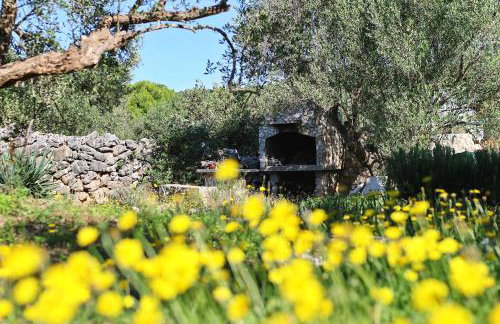 House Landjin - Foto 27