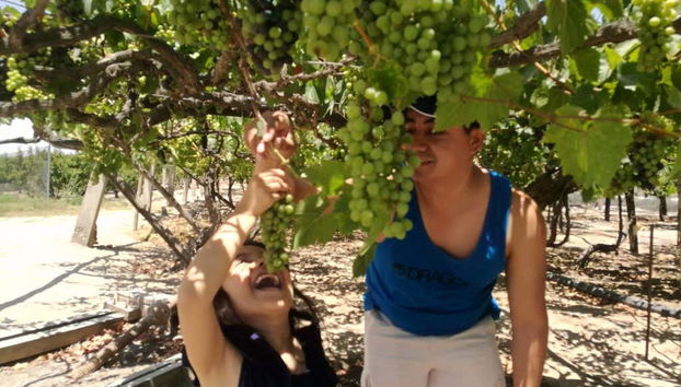 Visitando las siembras