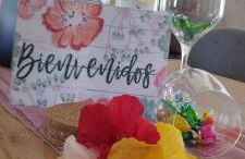 Apartamento Sofia - Foto 32