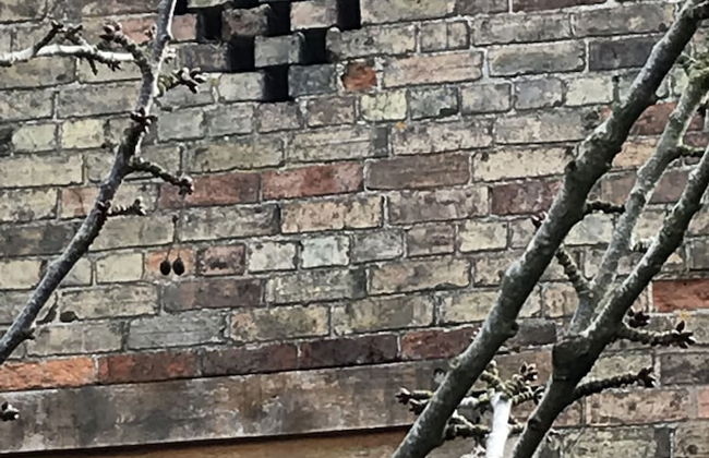 Bridge Farm Holiday Cottages - Foto 46