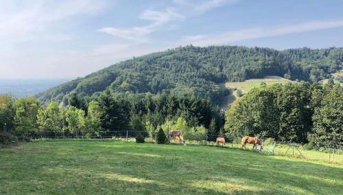 Top ausgestattete Wohnung in Traumlage mit grandioser Aussicht - Foto 3