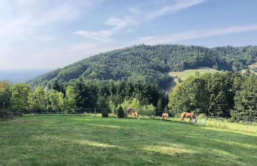 Top ausgestattete Wohnung in Traumlage mit grandioser Aussicht - Foto 3