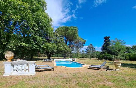 Grandiflora - Foto 26