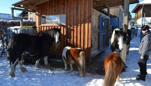 Ferien Bei Freunden Im Holzhaus - Foto 5