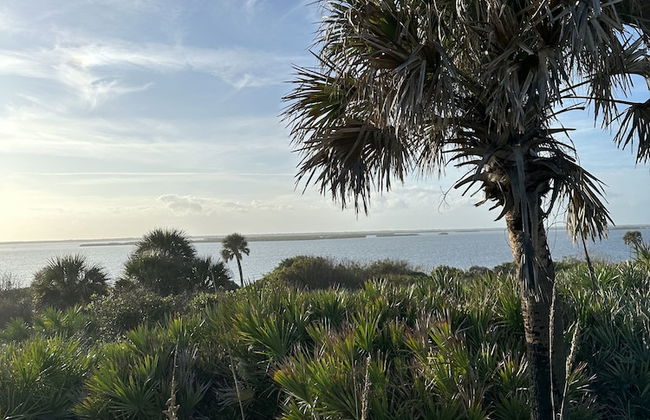 Oceanwalk Beach and Sun / New Smyrna Beach - Foto 19