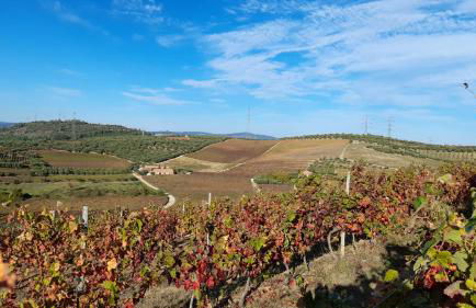 Quinta do Outono - Foto 19