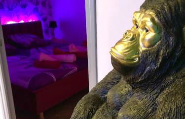 La lover’s jungle - Foto 44