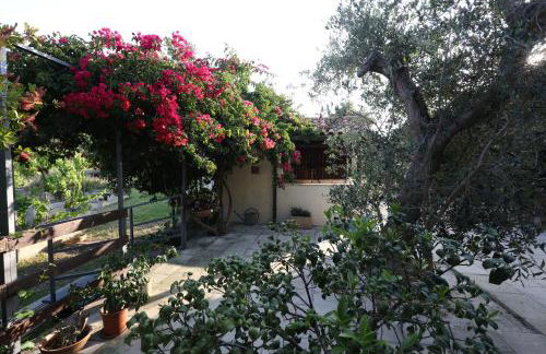 Agriturismo Pietragrande - Photo 45