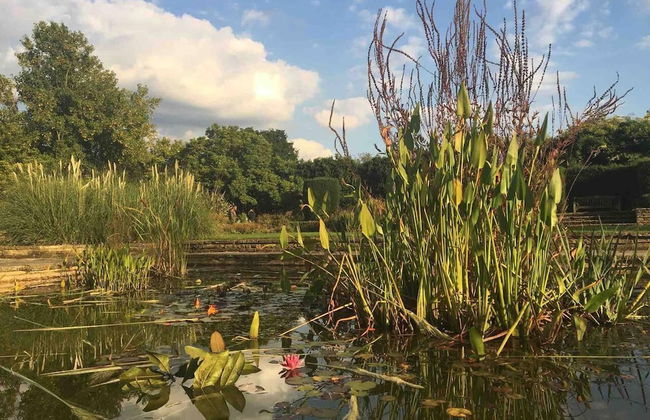 Immaculate 1-bed Apartment in London - Foto 21
