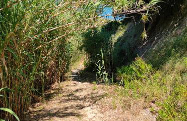 KALAMIES - Secluded Beach Apartments - Foto 42