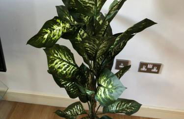 Blue Sky Apartments@ Abbots Yard, Guildford - Foto 13