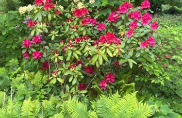 Chata pod Żurawiem - Foto 20