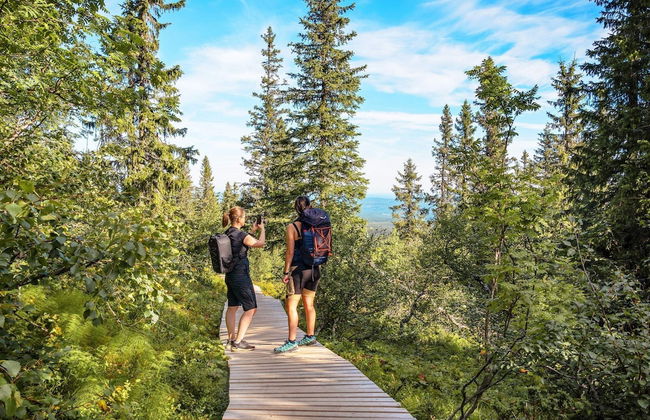 12 Person Holiday Home in Idre - Foto 12